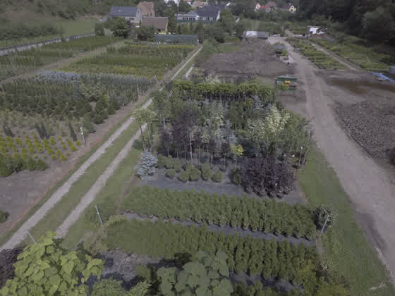 Zahradnictví