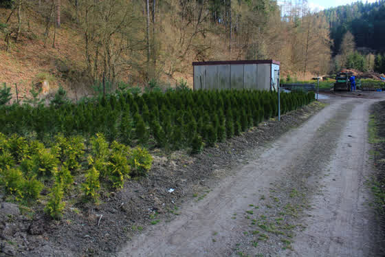 Zahradnictví