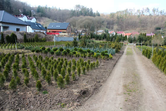 Zahradnictví
