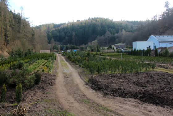 Zahradnictví