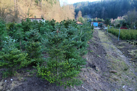 Zahradnictví