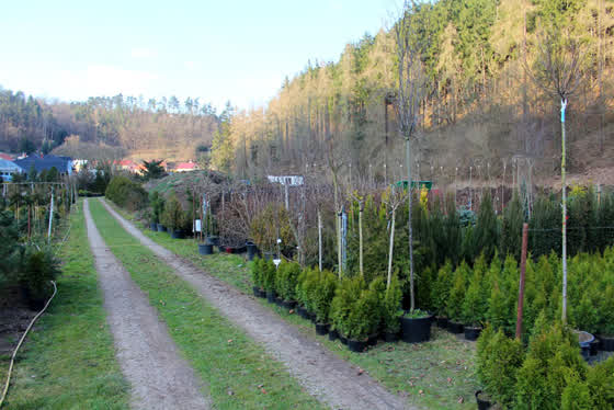 Zahradnictví
