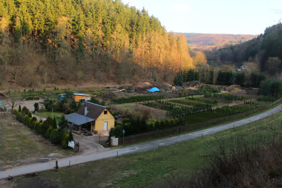 Zahradnictví