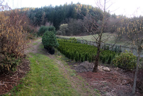 Zahradnictví