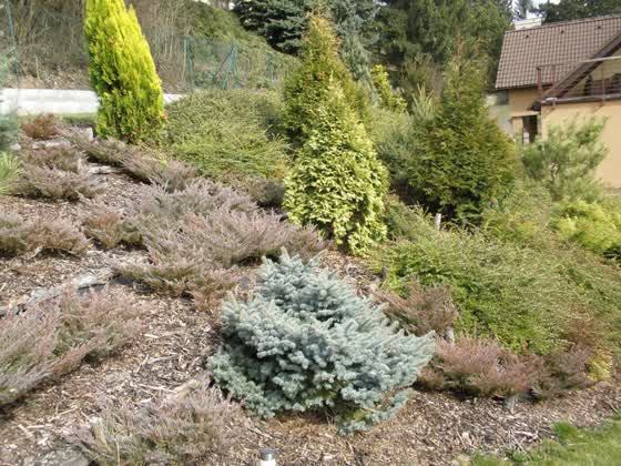 Realizace zahrad